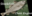 Stockfish